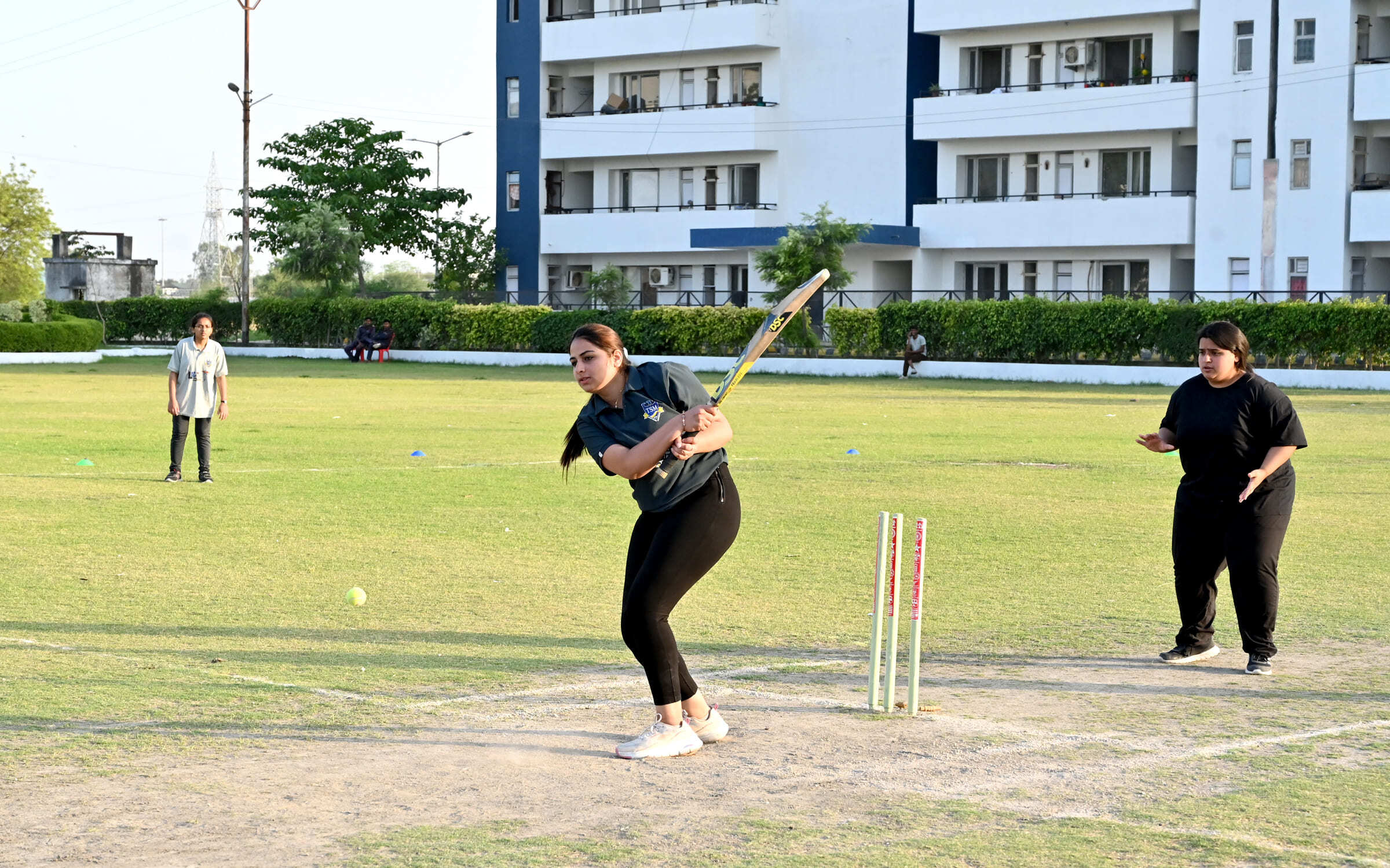 cricket